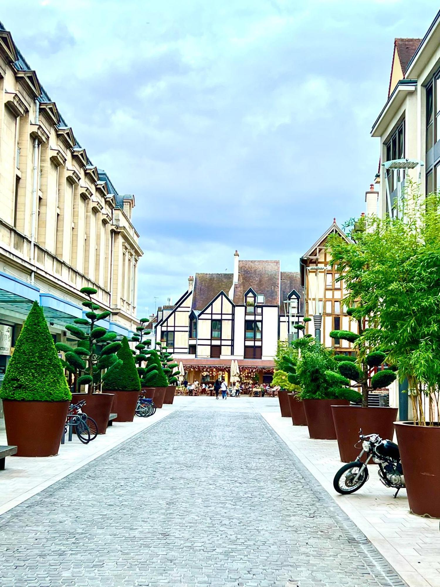 Spa Et Sauna Luxueux Hyper Centre Troyes Kültér fotó